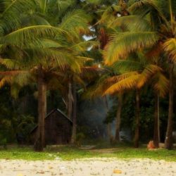 Belgaum to Kerala tour package 8 Nights 9 Days by Train