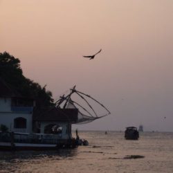 Cochin to Kerala tour package 2 Nights 3 Days by Car