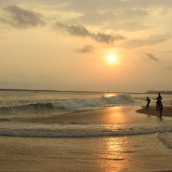 Delhi to Kerala tour package 1 Night 2 Days by Flight
