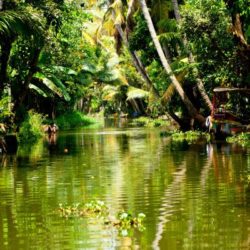 Erode to Kerala tour package 9 Nights 10 Days by Car