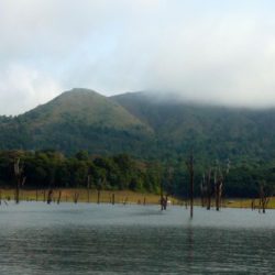 Honeymoon tour packages from Tirupati Kerala