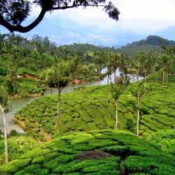 Kolhapur to Kerala tour package 7 Nights 8 Days by Train