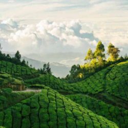 Madurai to Kerala tour package 4 Nights 5 Days by Flight