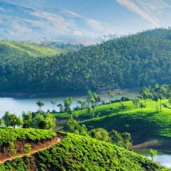 Pondicherry to Kerala tour package 1 Night 2 Days by Flight