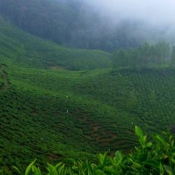 Pune to Kerala tour package 3 Nights 4 Days by Flight