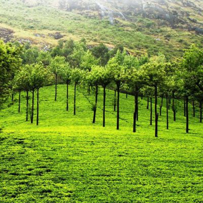 Raipur to Kerala tour package 6 Nights 7 Days by Train