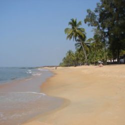 Vadodara to Kerala honeymoon package 5 Nights 6 Days by Flight