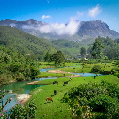 Vadodara to Kerala honeymoon package 7 Nights 8 Days by Train