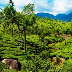 Visakhapatnam to Kerala tour package 9 Nights 10 Days by Train
